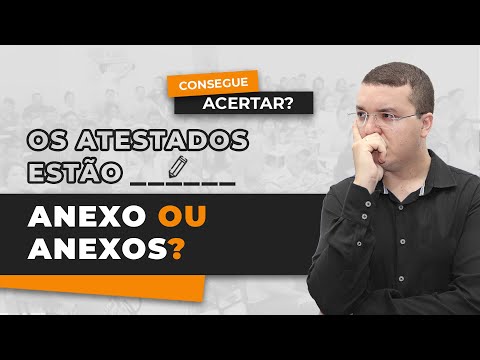 Anexo ou anexos? Concordância nominal em anexo, incluso, quite e mesmo