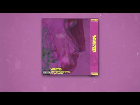 Steven Peregrina - Wasted ft. Because
