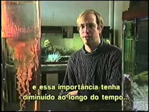 Entendendo o Magnetismo - Discovery Channel