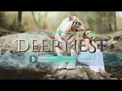 Ikarus, Michel DJ & Tamaz - Wicked game