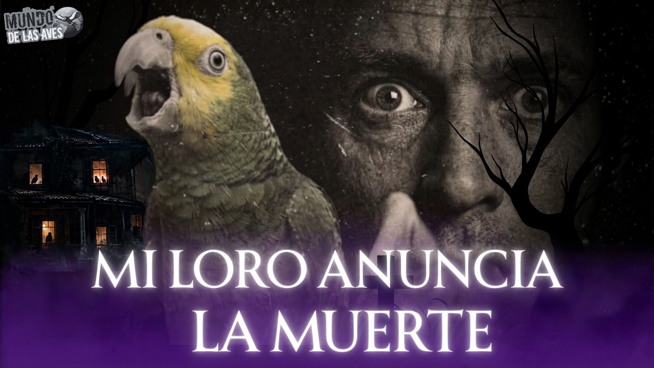 HISTORIAS DE TERROR CON LOROS: LOS RELATOS MAS ESCALOFRIANTES.