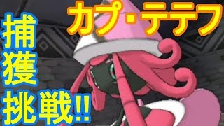 カプ テテフ ポケットモンスター ヘルガー ハヤシガメ タマンタ
