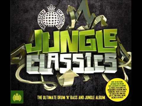 09. DJ SS - The Lighter (Jungle Classics)