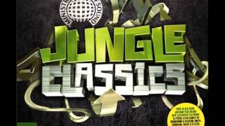 09. DJ SS - The Lighter (Jungle Classics)