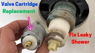 Delta 1400 Series Tub / Shower Valve Cartridge Replacement | Fix Leaky Shower