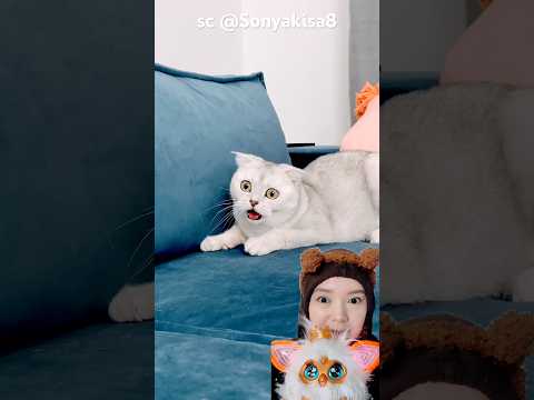 mau pecahin‼️Sonyakisa8