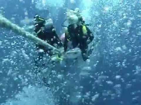 Zenobia, Wrack der Zenobia - Larnaca,Zypern