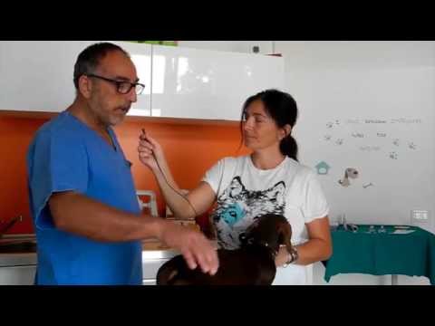 Se il fumo può influenzare la psoriasi Cura di psoriasi lineks