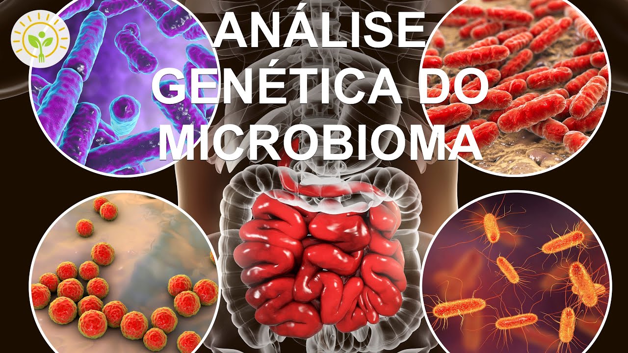 Teste genético para entender o intestino | Relação intestino-obesidade e intestino-demência