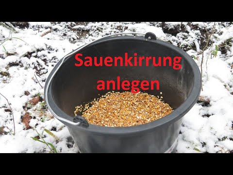 Kirrung anlegen Teil 1 (Schwarzwild anlocken)