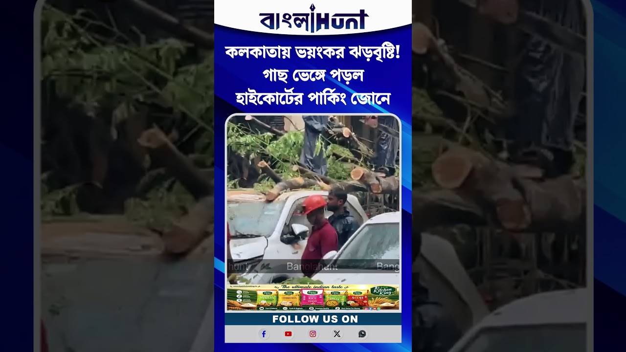 কলকাতায় ভয়ংকর ঝড়বৃষ্টি! গাছ ভেঙ্গে পড়ল হাইকোর্টের পার্কিং জোনে