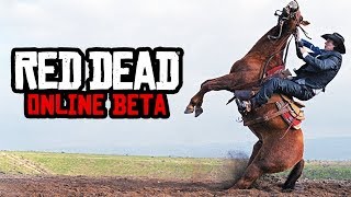 Ground Horse Meat - Red Dead Online Gameplay