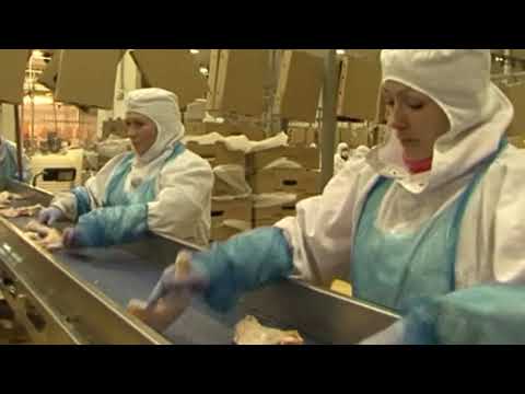 Сотрудники Курской птицефабрики рискуют остаться без работы