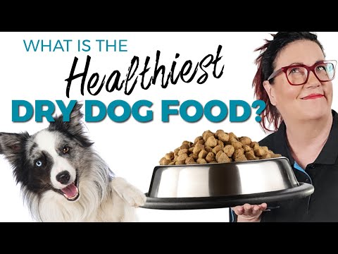 Choosing the Perfect Dry Dog Food: Factors to Consider