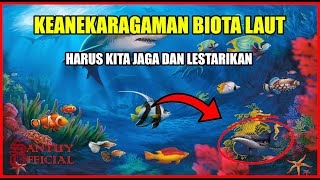 Download lagu THE BEAUTIFUL DIVERSITY OF MARINE LIFE mp3