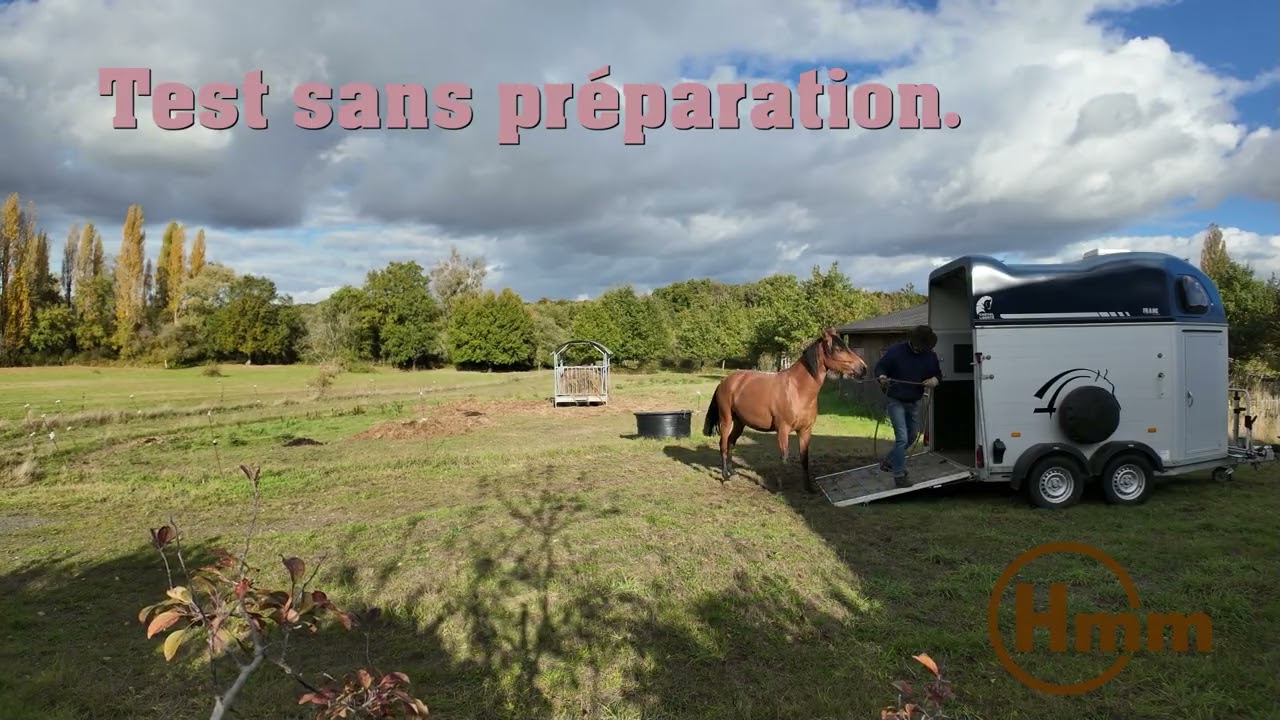 Test van sans preparation