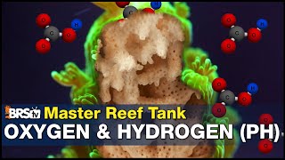 You&#39;re leaving 50% more coral growth on the table by not Mastering Reef Tank pH. Today that changes!