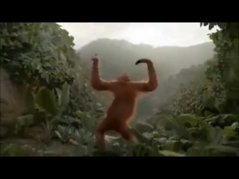 Funny Tsunami monkey