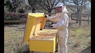 This insulated hive will be better