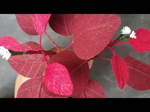 How to make crepe paper Euphorbia continifolia