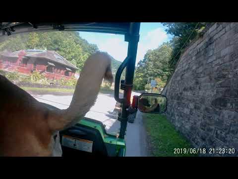 Indian Ridge  & Pinnacle Creek 6 19 #7