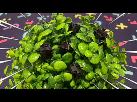 New Budget KING? | JWK Jwick Black Review | Switch Review Ep. 8 | Dinno