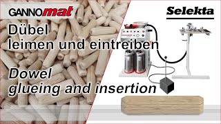 Video about Dowel inserting machines Gannomat Selecta