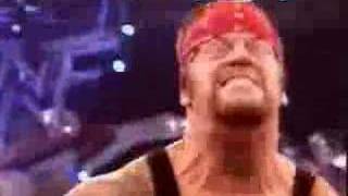 rockymaivia11