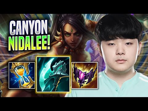 CANYON CHILLING WITH NIDALEE! - DK Canyon Plays Nidalee JUNGLE vs Vi! | Season 2022