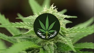 Black Hippy - Rolling Stone