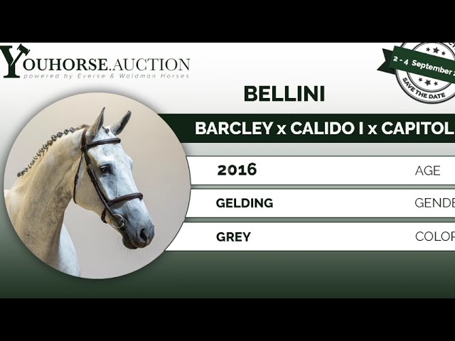 Bellini @ show indoor