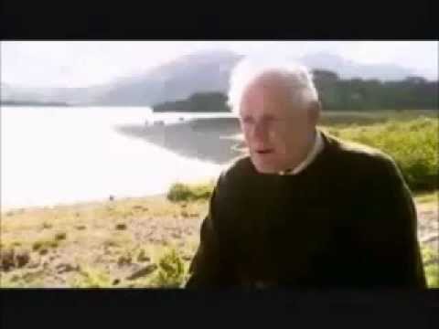 Paddy Cronin: The current state of Irish music!