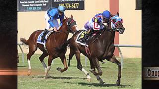 Delta Downs Jackpot 2015 Preview