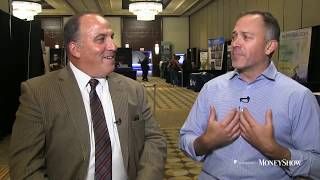 The Life of Butterflies