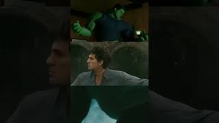 The Avangers,   The Hulk ,     The Incredible Hulk   (Hulk Transformation )