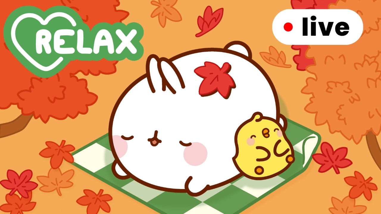 Molang’s Cozy Fall relaxation day! 🌳🍂 Relaxing Autumn Moments | Live for Kids 🔴