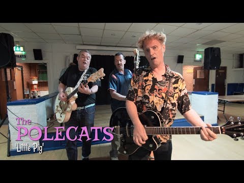 The Polecats - Little Pig