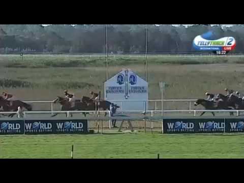 GOGETTHESHERIFF HERO HERO