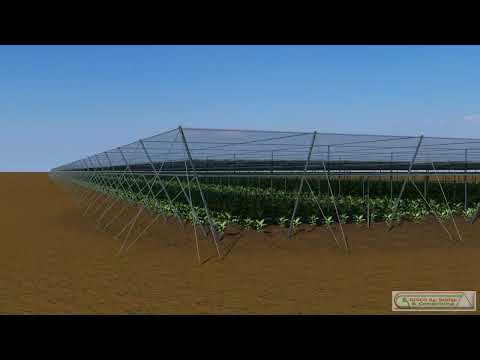 Thumbnail for Shade & Screen Structures Simulation