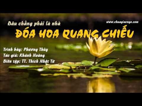 Đóa hoa Quang Chiếu