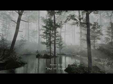 Peter Ries - Ray of Light