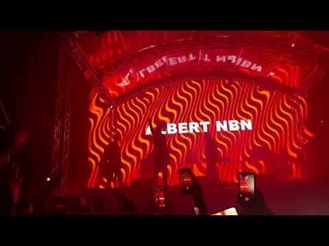 AlbertNBN x Nane - ZORO LIVE 4K