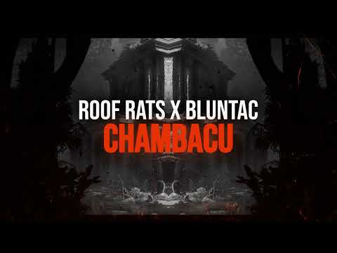 Roof Rats x Bluntac - CHAMBACU