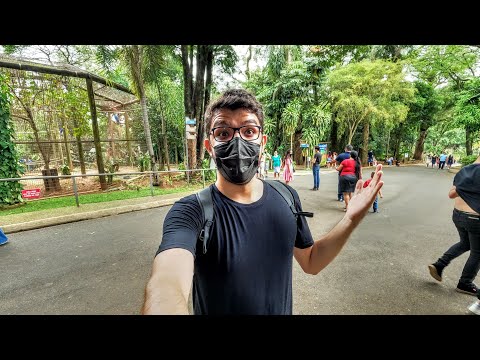 Passeio pelo segundo maior zoológico da América Latina (Sorocaba – SP)
