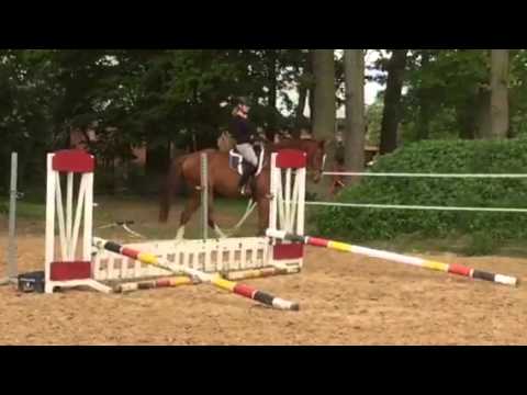 4j. Wallach von Ludwigs As x Zeus