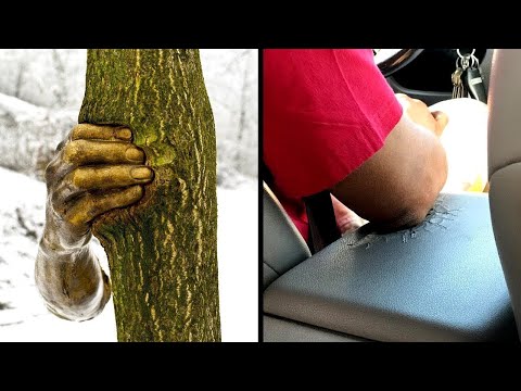 El Impresionante Poder Del Tiempo - Parte 2