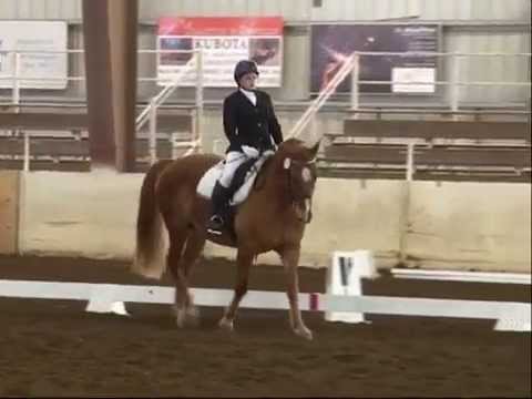 First Level Test 1 April 4