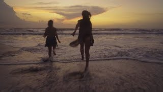 Piqued Jacks - Wildly Shine [Official Video]