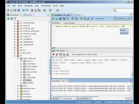 Oracle Insert Command Beginner