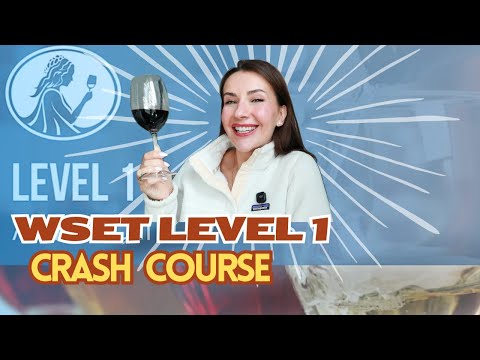 WSET Level 1 Crash Course: What You Need to Know!